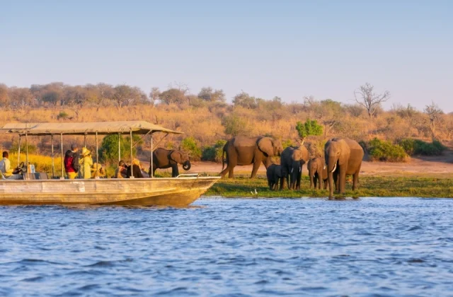 Atlas Ocean Expands 2029 Itineraries with 7 Exciting Pre-Voyage Safari Experiences
