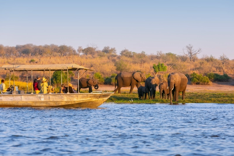 Atlas Ocean Expands 2029 Itineraries with 7 Exciting Pre-Voyage Safari Experiences
